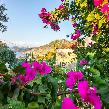 Familia 2 Selimiye Daily Weekly Βίλα *